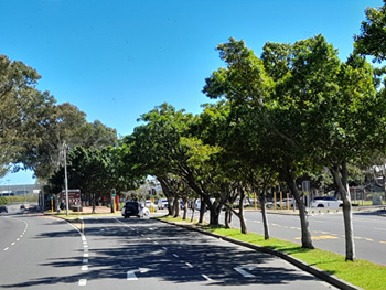 Clean, inviting roads