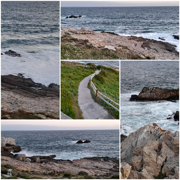 Hermanus