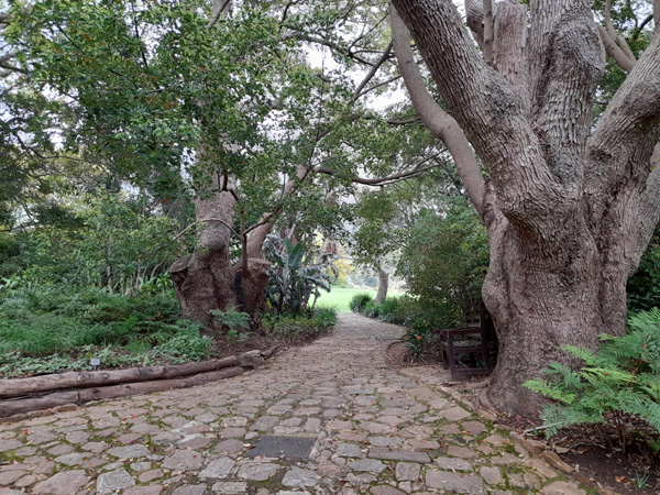 Kirstenbosch Botanical Garden