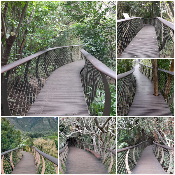 “Boomslang” Tree Canopy Walkway