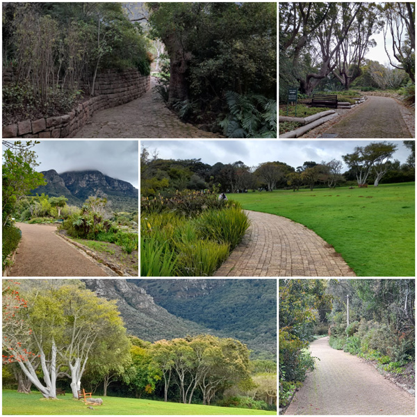 Kirstenbosch Botanical Garden