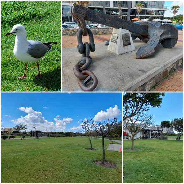 At the park