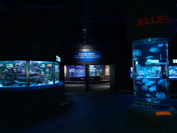 Two-Oceans Aquarium