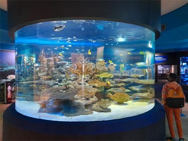 Two-Oceans Aquarium